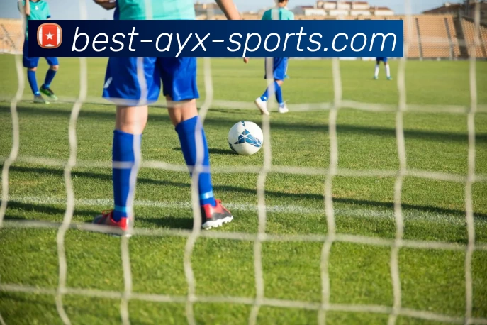 爱游戏官方网站发展历程